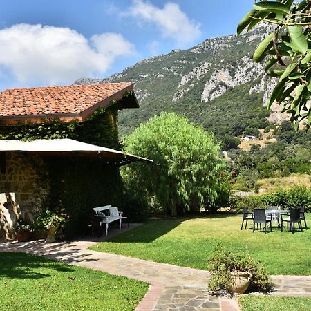 Country House Felicia Giungano Εξωτερικό φωτογραφία